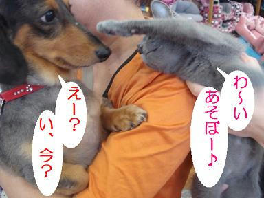 DSC07108.JPG