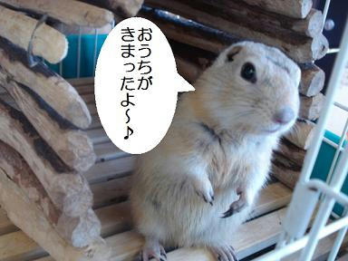 DSC07119.JPG
