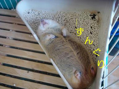 DSC07234.JPG