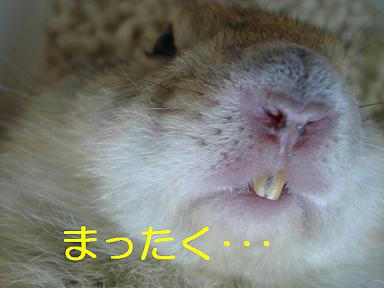 DSC07240.JPG