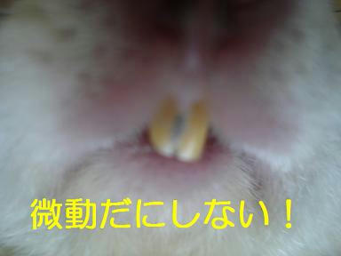 DSC07241.JPG