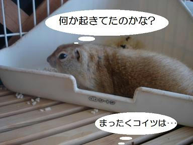 DSC07245.JPG