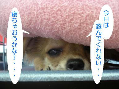 DSC07158.JPG