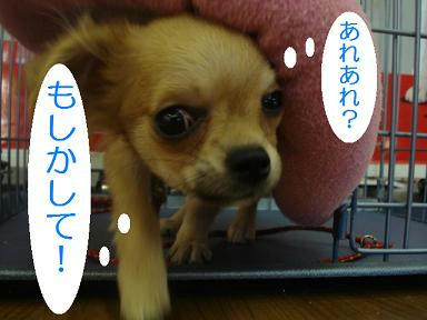 DSC07176.JPG