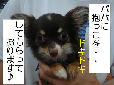 DSC07186.JPG