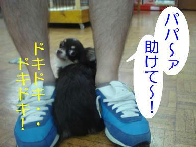 DSC07194.JPG