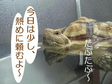 DSC07280.JPG