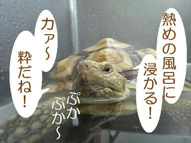 DSC07284.JPG