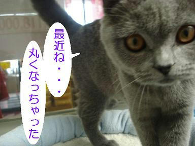 DSC07306.JPG