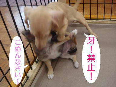 DSC07415.JPG