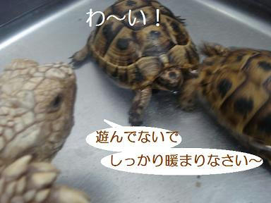 DSC07490.JPG