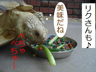 DSC07500.JPG
