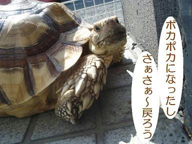 DSC07640.JPG