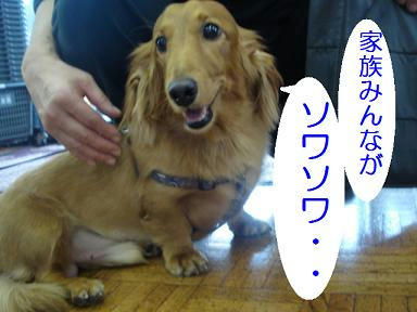 DSC07739.JPG