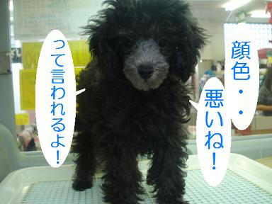 DSC07789.JPG
