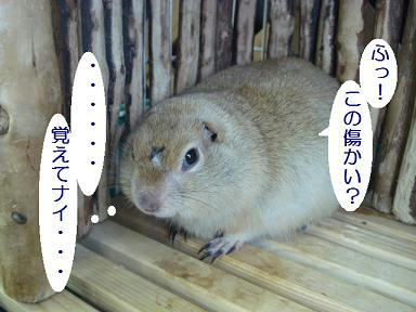 DSC07817.JPG