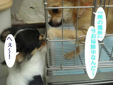 DSC07856.JPG