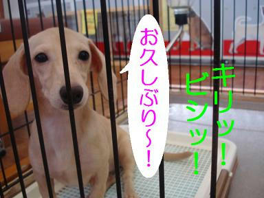DSC07837.JPG