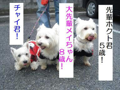 DSC07778.JPG