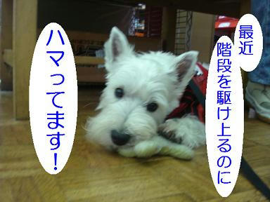 DSC07774.JPG