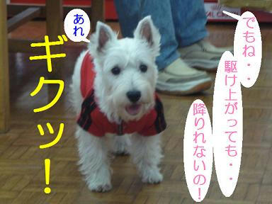 DSC07773.JPG