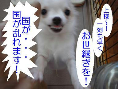 DSC07971.JPG