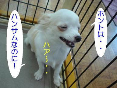 DSC07985.JPG