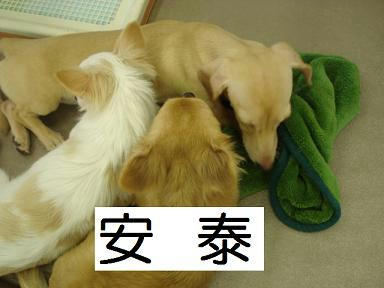 DSC08000.JPG