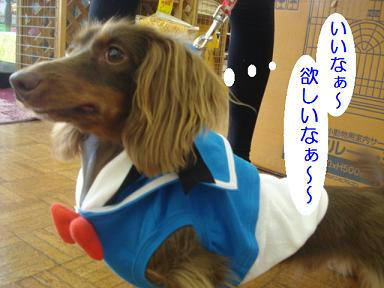 DSC08026.JPG