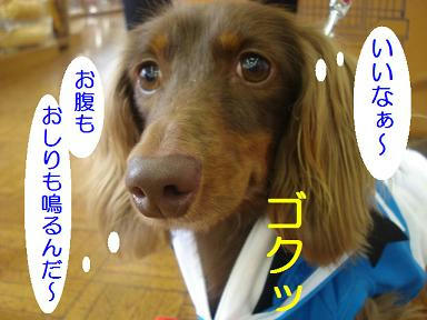 DSC08029.JPG