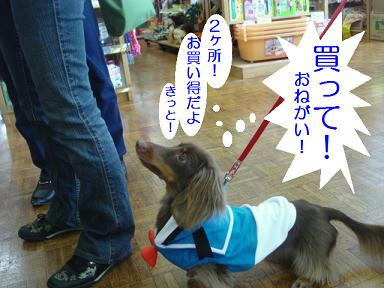 DSC08031.JPG