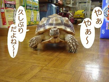 DSC08203.JPG