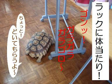 DSC07953.JPG