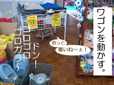 DSC07957.JPG