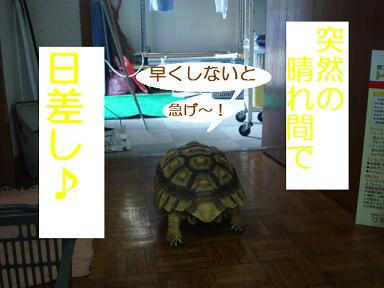 DSC07950.JPG