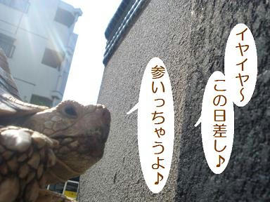 DSC07642.JPG