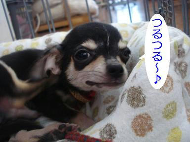 DSC08215.JPG