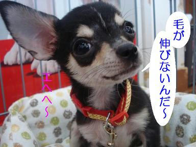 DSC08220.JPG