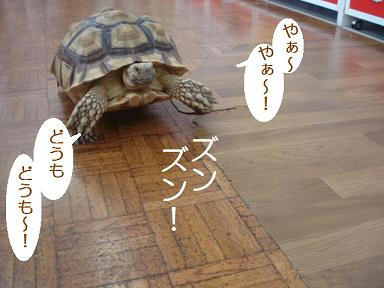 DSC08222.JPG