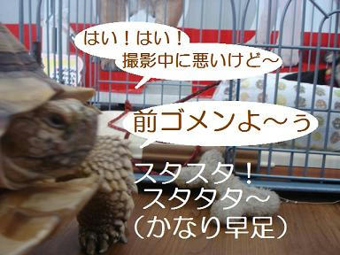DSC08225.JPG