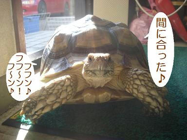 DSC08238.JPG