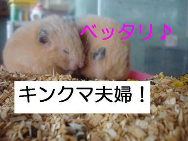 DSC08188.JPG