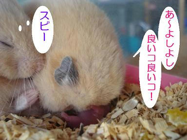 DSC08186.JPG