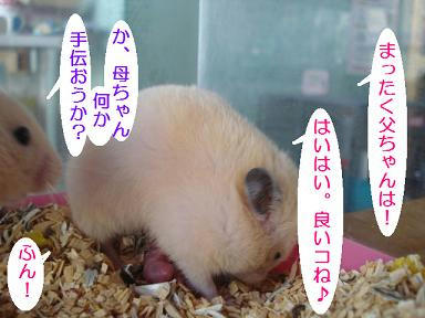 DSC08179.JPG
