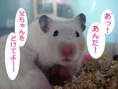 DSC08169.JPG
