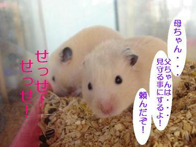 DSC08176.JPG