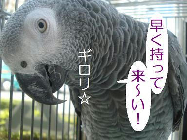 DSC08376.JPG