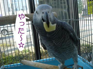 DSC08353.JPG