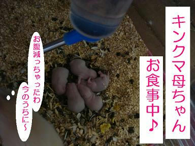 DSC08271.JPG