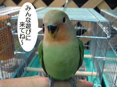 DSC08413.JPG